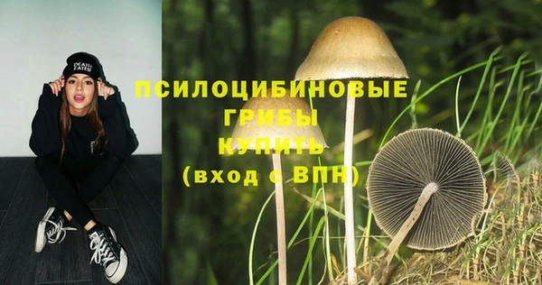 таблы Алзамай
