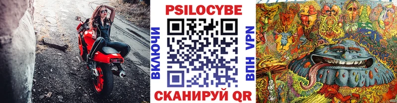 Купить  Чегем  Галлюциногенные грибы ЛСД 